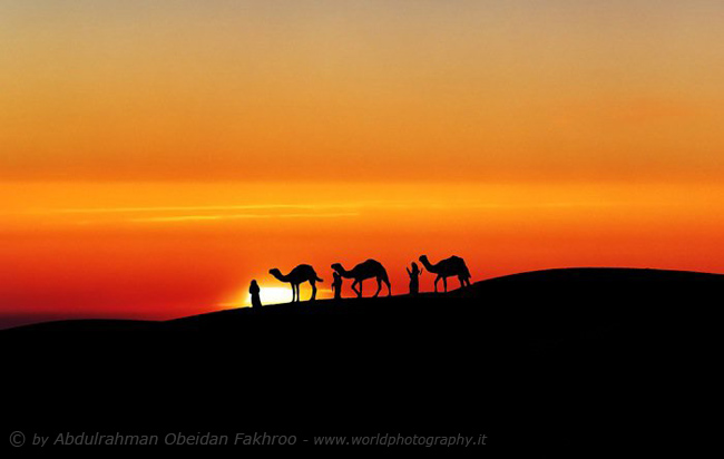 Desert the Qatar 